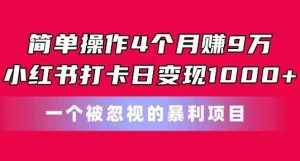 简单操作4个月赚9w，小红书打卡日变现1k，一个被忽视的暴力项目【揭秘】-泰戈创艺资源库