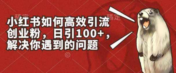 小红书如何高效引流创业粉，日引100+，解决你遇到的问题【揭秘】-泰戈创艺资源库