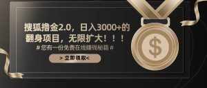 (11196期)搜狐撸金2.0日入3000+,可无限扩大的翻身项目-泰戈创艺资源库