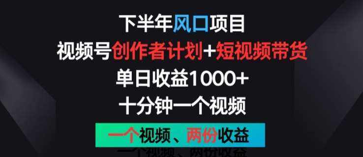 下半年风口项目，视频号创作者计划+视频带货，一个视频两份收益，十分钟一个视频【揭秘】-泰戈创艺资源库