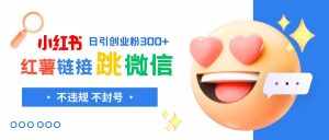 (8010期)小红薯跳转微信链接制作和引流思路,不违规不封号!-泰戈创艺资源库