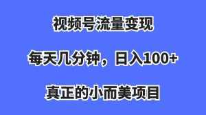 视频号流量变现，每天几分钟，收入100+，真正的小而美项目-泰戈创艺资源库
