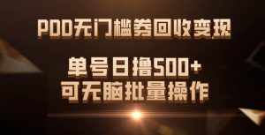 PDD无门槛券回收变现，单号日撸500+，可无脑-泰戈创艺资源库