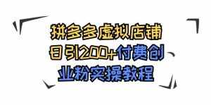 拼多多虚拟店铺日引200+付费创业粉实操教程-泰戈创艺资源库