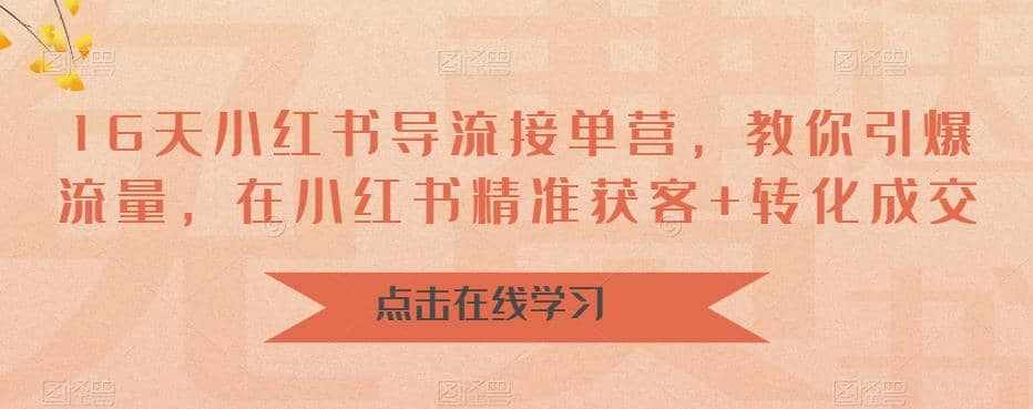 16天-小红书 导流接单营，教你引爆流量，在小红书精准获客+转化成交-泰戈创艺资源库