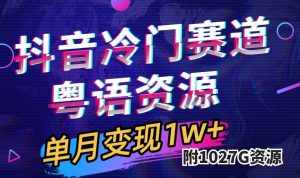 抖音冷门赛道,粤语动画,作品制作简单,月入1w+(附1027G素材)-泰戈创艺资源库