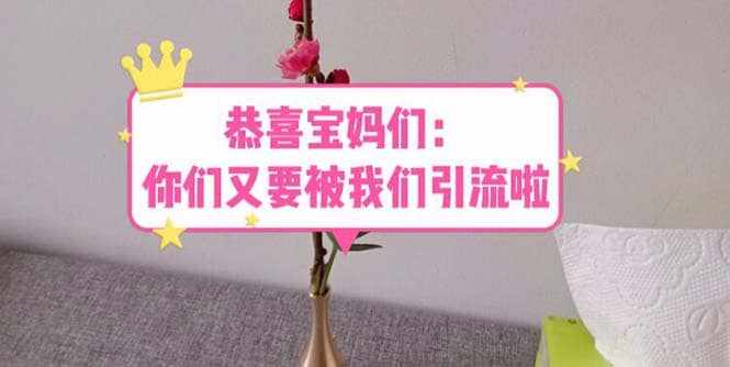 恭喜宝妈们：你们又要被我们引流了（教程+222g资料）-泰戈创艺资源库