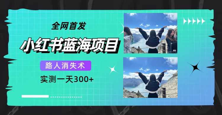 全网首发，小红书蓝海项目，路人消失术，实测一天300+（教程+工具）-泰戈创艺资源库