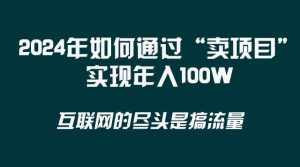 (8382期) 2024年如何通过“卖项目”实现年入100W-泰戈创艺资源库