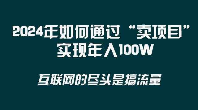 （8382期） 2024年如何通过“卖项目”实现年入100W-泰戈创艺资源库
