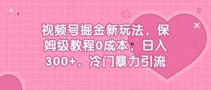 视频号掘金新玩法，保姆级教程0成本，日入300+，冷门暴力引流-泰戈创艺资源库