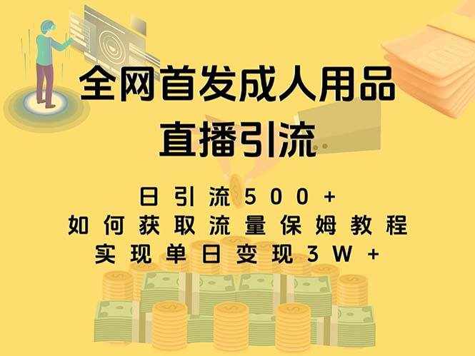 （8193期）最新全网独创首发，成人用品直播引流获客暴力玩法，单日变现3w保姆级教程-泰戈创艺资源库