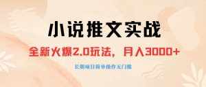 （8084期 ）外面收费990的小说推广软件，零粉丝可变现，月入3000+，小白当天即上手-泰戈创艺资源库