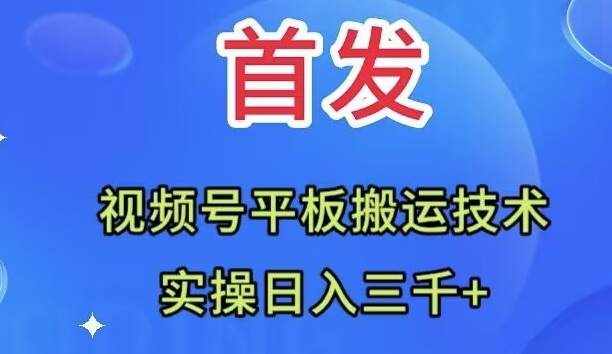 （7843期）全网首发：视频号平板搬运技术，实操日入三千＋-泰戈创艺资源库