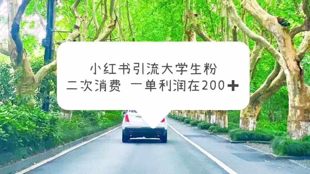 小红书引流大学生粉，变现项目，一单利润在200+（教程+资源）-泰戈创艺资源库