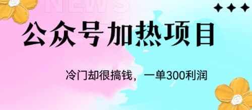 冷门公众号加热项目，一单利润300+-泰戈创艺资源库