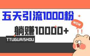5天引流1000+,赚了1w+-泰戈创艺资源库