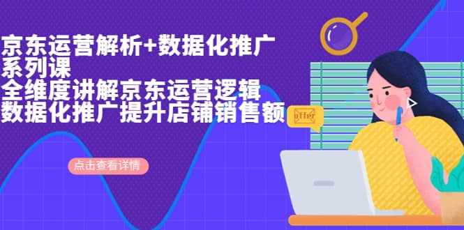 京东运营解析与数据化推广系列课，全维度讲解京东运营逻辑+数据化推广提升店铺销售额-泰戈创艺资源库