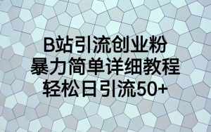 B站引流创业粉,暴力简单详细教程,轻松日引流50+-泰戈创艺资源库