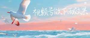 视频号做下雨视频一个账号一周涨粉10W+年入100w-泰戈创艺资源库