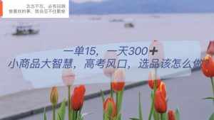 一单15,一天300+,小商品大智慧,高考风口,选品该怎么布局-泰戈创艺资源库