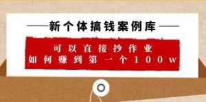 新个体 搞钱案例 库，可以直接抄作业 如何赚到第一个100w（29节视频+文档）-泰戈创艺资源库