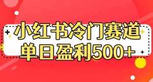 小红书冷门赛道，单日盈利500+【揭秘】-泰戈创艺资源库