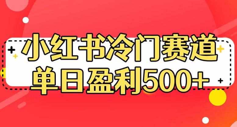 小红书冷门赛道，单日盈利500+【揭秘】-泰戈创艺资源库