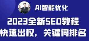 2023最新网站AI智能优化SEO教程,简单快速出权重,AI自动写文章+AI绘画配图-泰戈创艺资源库