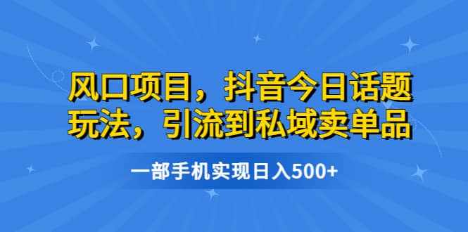 风口项目，抖音今日话题玩法，引流到私域卖单品，一部手机实现日入500+-泰戈创艺资源库