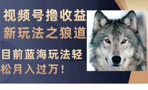 (8042期)视频号撸收益新玩法之狼道,目前蓝海玩法轻松月入过万!-泰戈创艺资源库