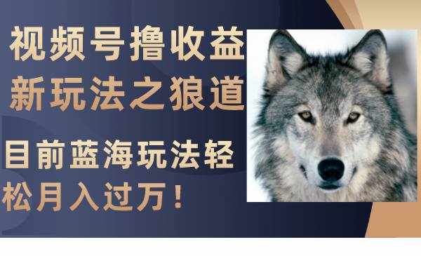 （8042期）视频号撸收益新玩法之狼道，目前蓝海玩法轻松月入过万！-泰戈创艺资源库