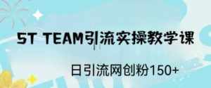 ST TEAM引流实操课,日引流网创粉100+-泰戈创艺资源库