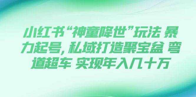 （7673期）小红书“神童降世”玩法 暴力起号,私域打造聚宝盆 弯道超车 实现年入几十万-泰戈创艺资源库