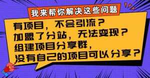 （8147期）有项目，不会引流？加盟了分站，无法变现？组建项目分享群，没有自己的…-泰戈创艺资源库