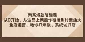 （7725期）淘系爆款陪跑课 从选品上架操作链接到付费放大 全店运营 打爆款 系统做好店-泰戈创艺资源库
