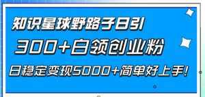 （8315期）知识星球野路子日引300+白领创业粉，日稳定变现5000+简单好上手！-泰戈创艺资源库
