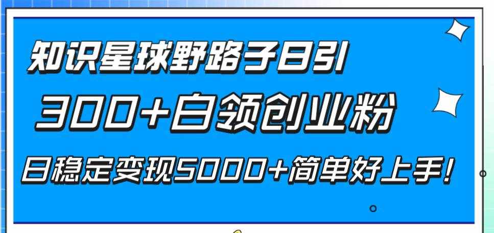（8315期）知识星球野路子日引300+白领创业粉，日稳定变现5000+简单好上手！-泰戈创艺资源库
