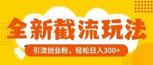（8025期）全新截流玩法，精准引流创业粉，轻松日入300+-泰戈创艺资源库