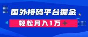 (8058期)通过国外接码平台掘金卖账号: 单号成本1.3,利润10+,轻松月入1万+-泰戈创艺资源库
