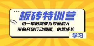 （8048期）板砖特训营，用一年时间成为专业的人，带你突破行动局限，快速成长-泰戈创艺资源库