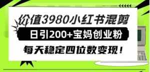 （7893期）价值3980小红书混剪日引200+宝妈创业粉，每天稳定四位数变现！-泰戈创艺资源库