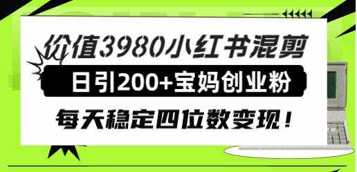 （7893期）价值3980小红书混剪日引200+宝妈创业粉，每天稳定四位数变现！-泰戈创艺资源库