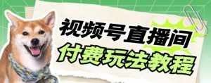 （7660期）视频号美女付费无人直播，轻松日入500+【详细玩法教程】-泰戈创艺资源库