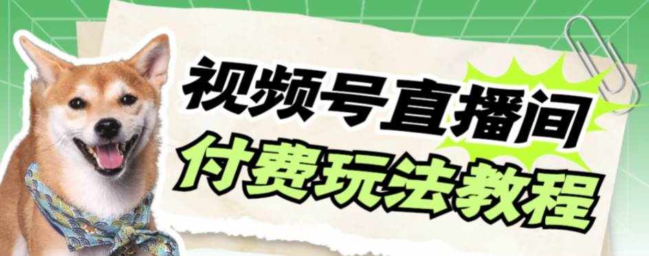 （7660期）视频号美女付费无人直播，轻松日入500+【详细玩法教程】-泰戈创艺资源库