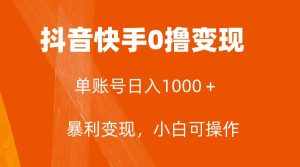 (7993期)全网首发,单账号收益日入1000+,简单粗暴,保底5元一单,可批量单操作-泰戈创艺资源库