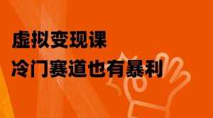 (8219期)虚拟变现课,冷门赛道也有暴利,手把手教你玩转冷门私域-泰戈创艺资源库