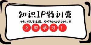 (8161期)知识IP特训营 :小红书-流量变现,带你轻松玩转小红书(23节视频课)-泰戈创艺资源库