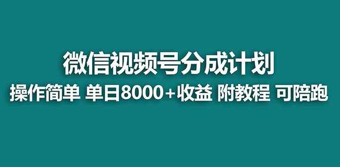 （7904期）【蓝海项目】视频号分成计划，单天收益8000+，附玩法教程！可陪跑-泰戈创艺资源库