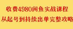 （8359期）外面收费4980闲鱼无货源实战教程 单号4000+-泰戈创艺资源库